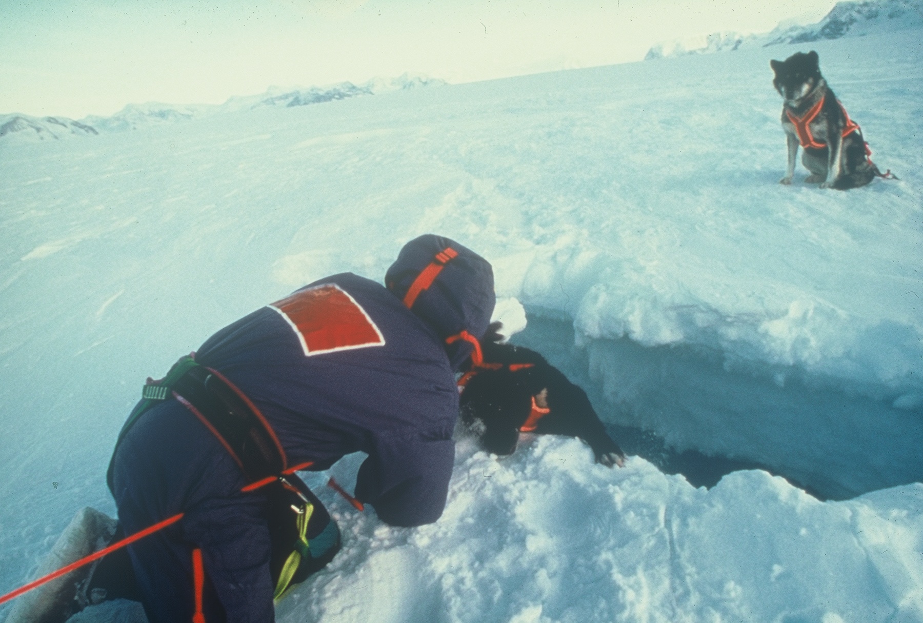 Rescuing the dog fell into a crevasse